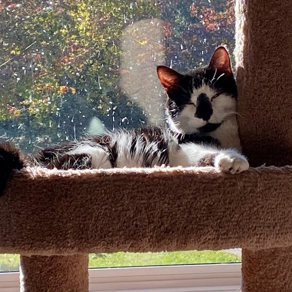 Meet your Posher, Beverly - Picture 11 of 16